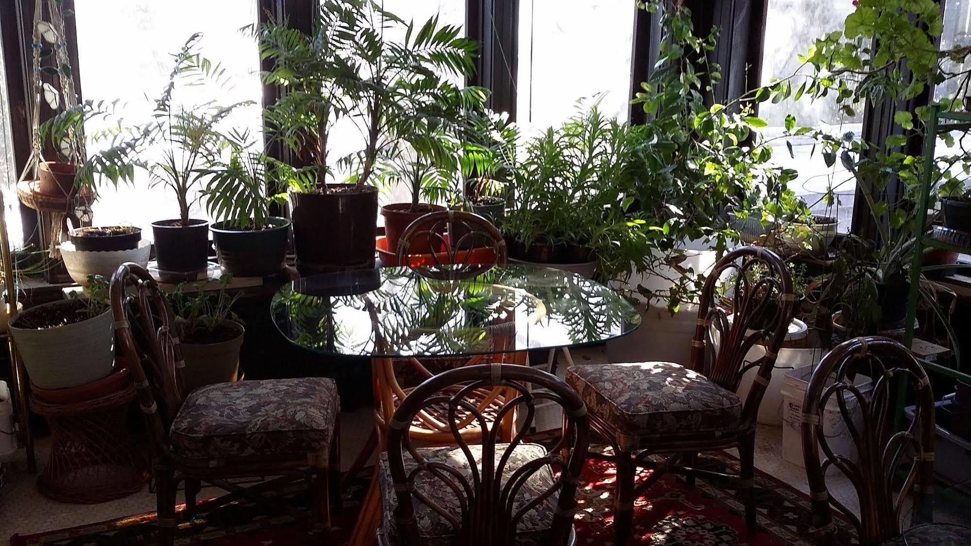 Chestnut Charm Bed & Breakfast Atlantic Extérieur photo